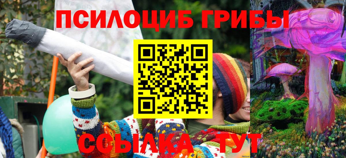 Галлюциногенные грибы Psilocybine cubensis Каменск-Уральский